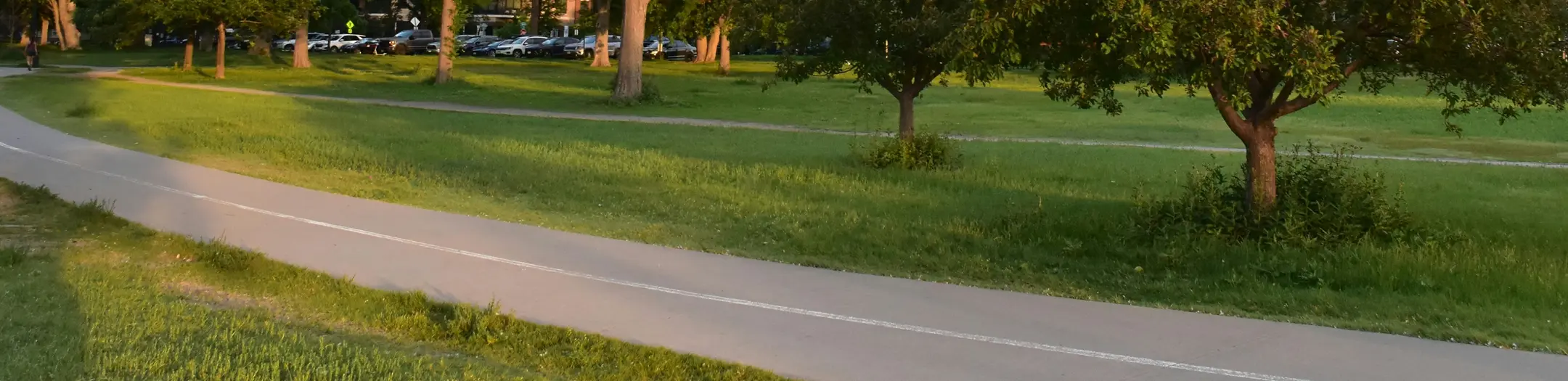 Tree-lined parkway with asphalt path for municipal paving in Phoenix, AZ