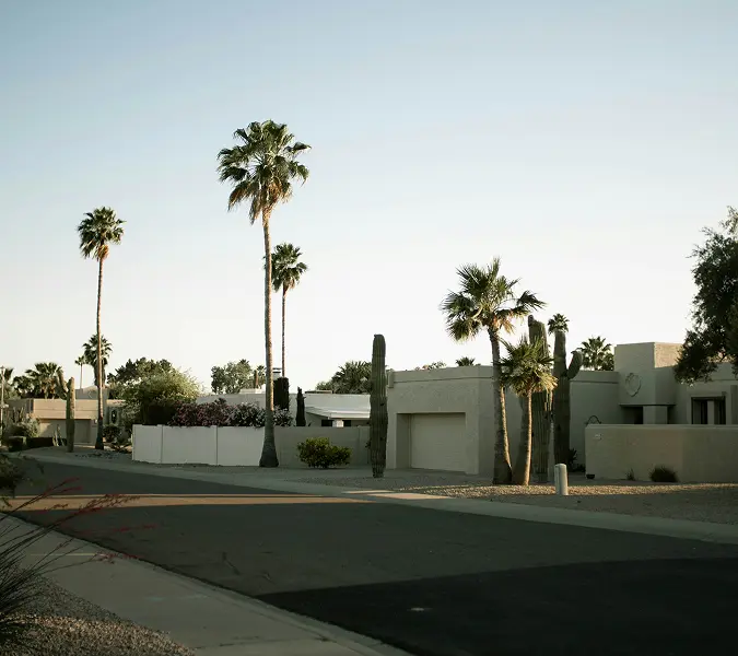 Residential neighborhood in Flagstaff AZ with palm trees and clean road