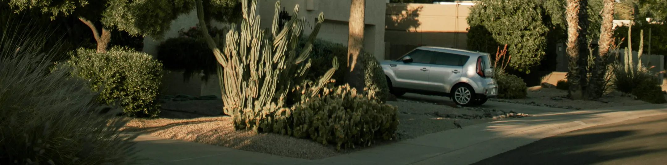 Suburban area in Flagstaff AZ with desert plants, SUV, and paved street