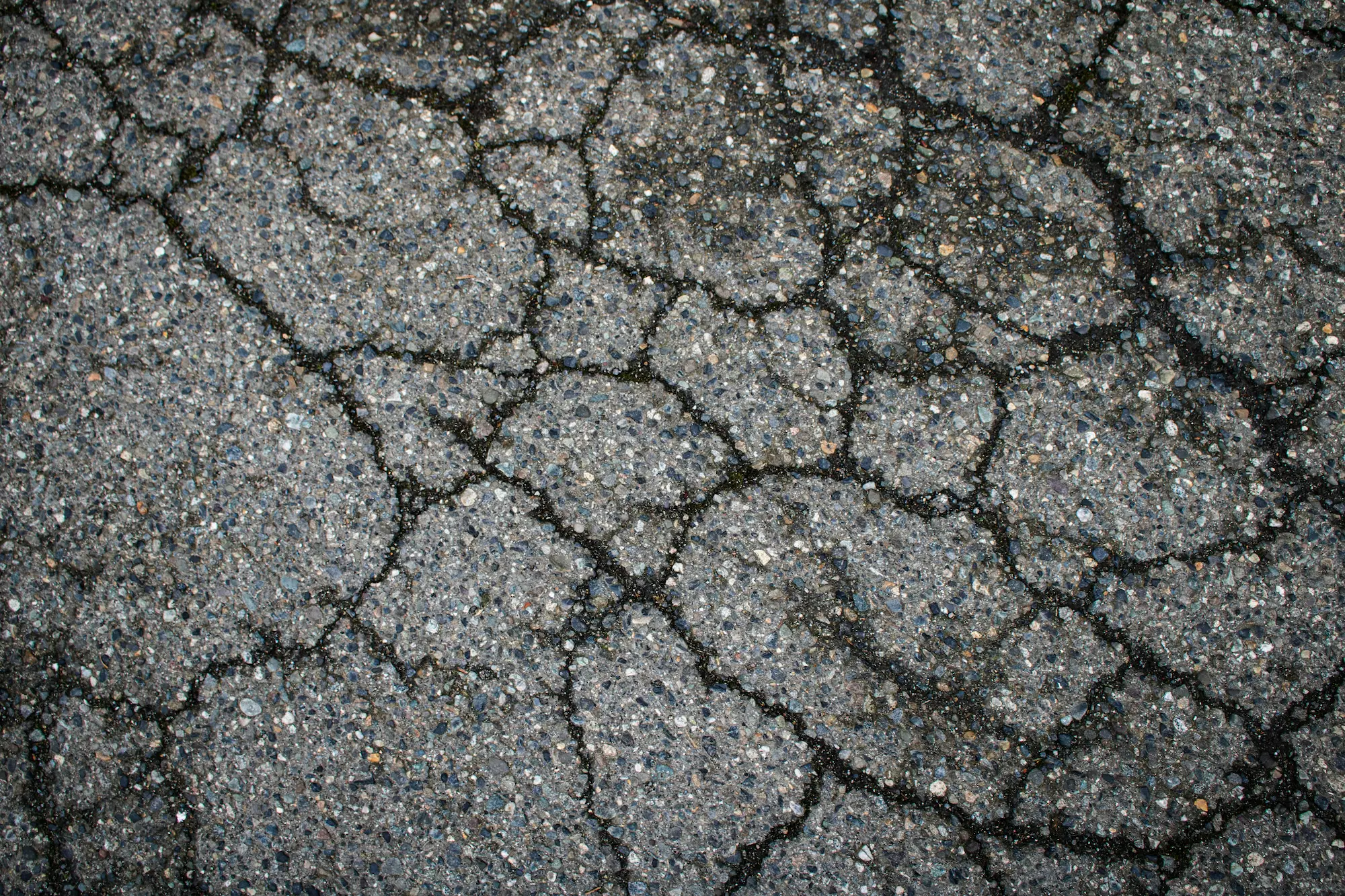 Alligator cracking pattern in a Maricopa County commercial parking lot showing sub-base failure